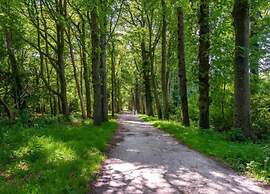 Modern Chalet Near Lake Sneek