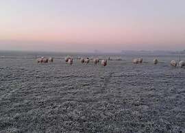 Modern Chalet Near Lake Sneek
