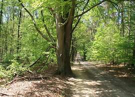 Cosily Furnished Chalet in Ootmarsum