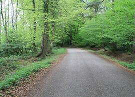 Cosily Furnished Chalet in Ootmarsum