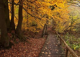 Cosily Furnished Chalet in Ootmarsum