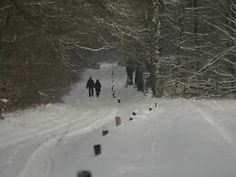 Cosily Furnished Chalet in Ootmarsum