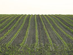 Cosily Furnished Chalet in Ootmarsum