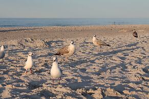 Geraumige Wohnung mit Garten in Zingst