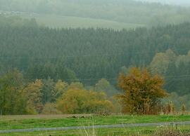 Chalet in Gerolstein Forest Holiday Park