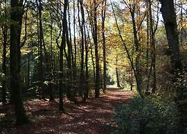 Chalet in Gerolstein Forest Holiday Park
