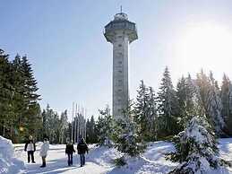 Chic Apartment in Stormbruch near Ski Area