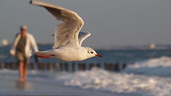 Luxury Villa, 2 Baths, nr Beach