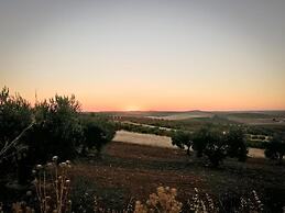 Modern Villa With Garden