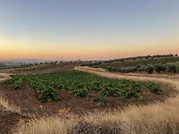 Modern Villa With Garden