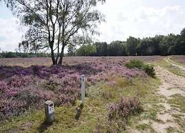 Luxury Stay in Hellendoorn