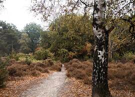 Luxury Stay in Hellendoorn