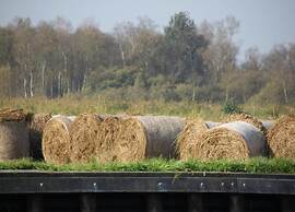 Luxury Villa on the Water