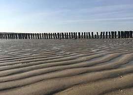 Stylish Zeeland Getaway