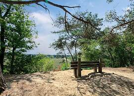 Bungalow With a Terrace at Bedafse Bergen