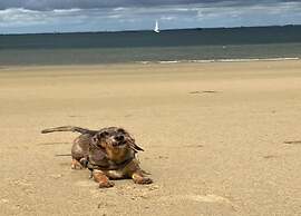 Villa Oesterdam Wellness 10 Persons