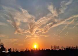 Villa Oesterdam Wellness 10 Persons