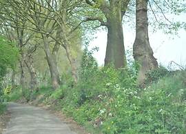 Villa Oesterdam Wellness 10 Persons