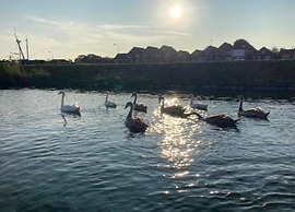 Villa Oesterdam Wellness 10 Persons