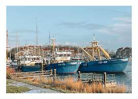 Villa Oesterdam Wellness 10 Persons