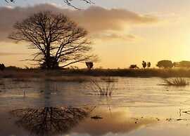 Charming Haystack Stay