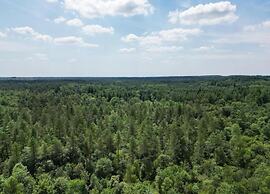 Forest-edge Villa With Sauna