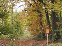 Nicely Furnished Bungalow With Dishwasher, in De Veluwe
