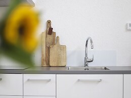 Modern House With Beautiful Terrace, Near Almelo