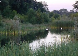 Stylish Escape in Enter