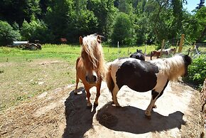 Combined Flat on a Farm in Kellerwald