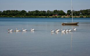 Relaxing Nature Escape