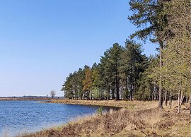 Nature Retreat in Drenthe