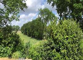 Nature Retreat in Drenthe