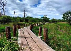 Nature Retreat in Drenthe