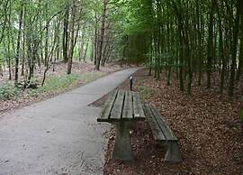 Nature Retreat in Drenthe