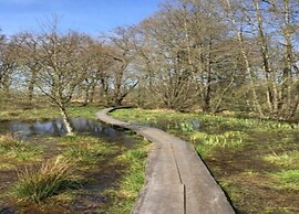 Chalet With Dishwasher Near Nature Reserve