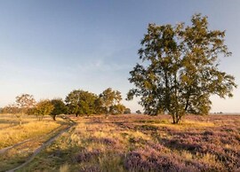 Chalet With Dishwasher Near Nature Reserve