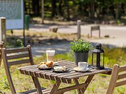 Detached Forest Villa With Dishwasher, Located in De Veluwe