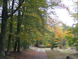Detached Forest Villa With Dishwasher, Located in De Veluwe