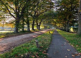 Holiday Park Escape in Drenthe