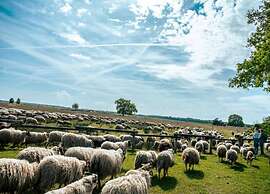 Holiday Park Escape in Drenthe