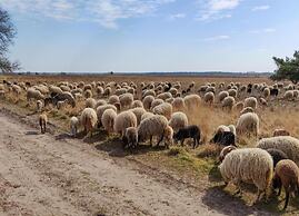 Holiday Park Escape in Drenthe