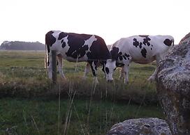 Holiday Park Escape in Drenthe