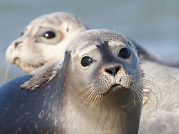 Detached Bungalow, in a Holiday Park Within Walking Distance of the Be