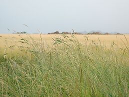 Restyled Single Storey Bungalow, Near the Sea on Texel