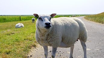 Comfy Lodge with 2 Bathrooms near Beach