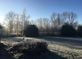 Wellness Forest Retreat