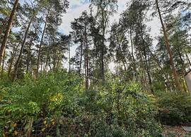 Wellness Forest Retreat