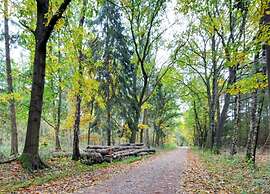 Wellness Forest Retreat