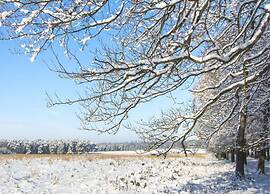 Private Chalet in the Woods